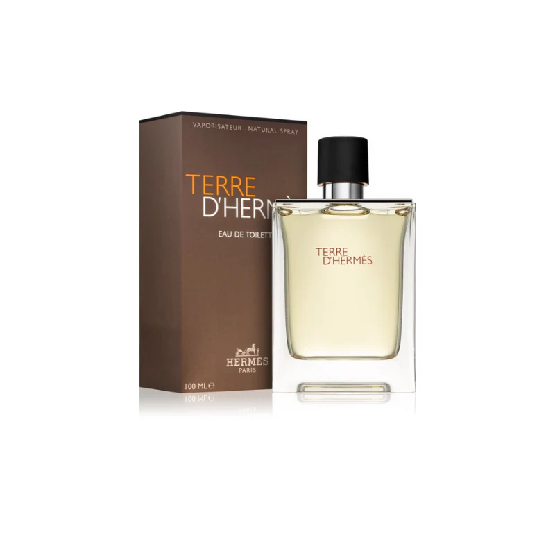 HEREMS TERRE D'HERMES MEN 100ML / 3.38 OZ EDT SPRAY*